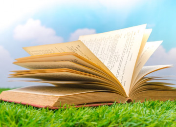 Մարդկային ցեղի աճն ու զարգացումը