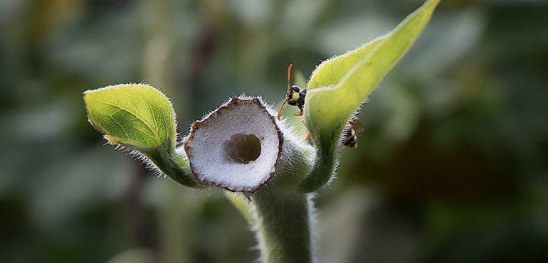 Հոգևոր դարաշրջանի ցիկլերը