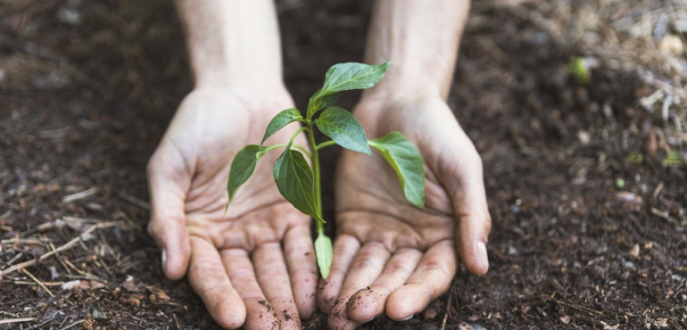 Աստծո գոյության ապացույցները