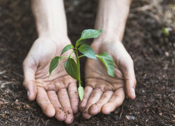 Աստծո գոյության ապացույցները
