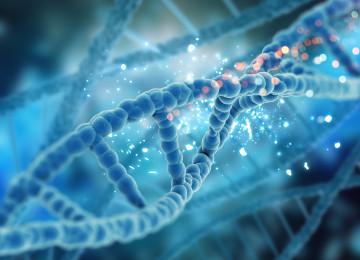 Epigenetics Proves that We’re Not Just